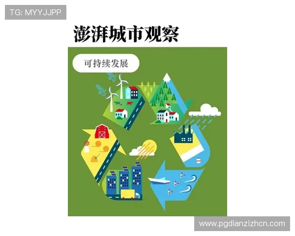 如何选择优质老虎机设备确保投资回报最大化的实用购买建议