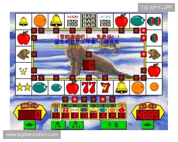 提升单机老虎机游戏体验的五个实用技巧让你玩得更尽兴更有赢面